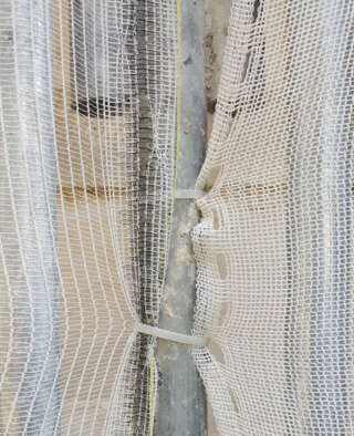 Collier pour filet de protection de façade en situation