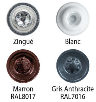 Couleurs têtes