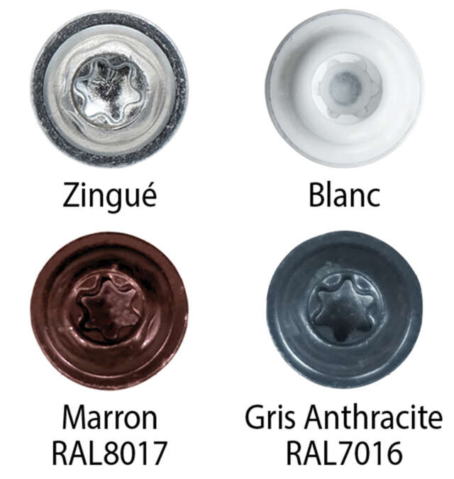 Couleurs têtes